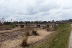 P1030342