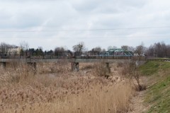 P1030343