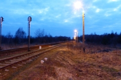 P1030429