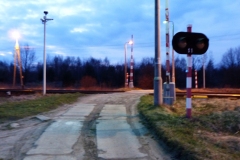P1030433