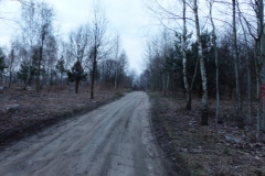 P1030405