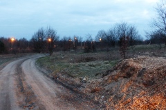 P1030416