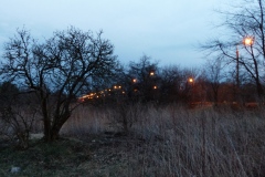 P1030422