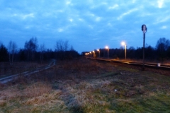 P1030439