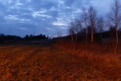 P1030446