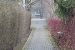 P1020291