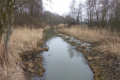 P1020047
