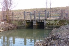 P1020353