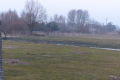 P1020422