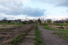 P1030921