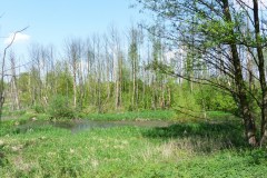 P1040208