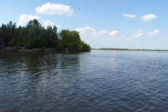 P1040901