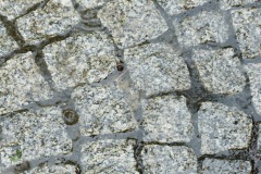 P1050002
