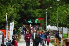 P1050239