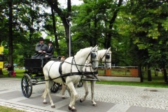 P1050252