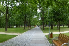 P1050287