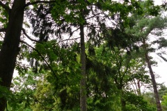 P1050333