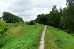 2014.06.21 Nad Jeziorką