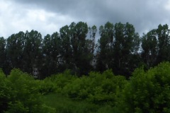 P1050478