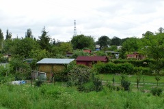 P1050486