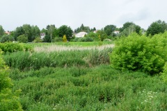 P1050487