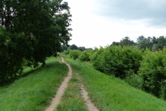 P1050489