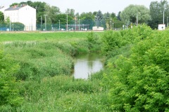 P1050490
