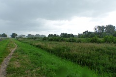 P1050498