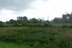 P1050501