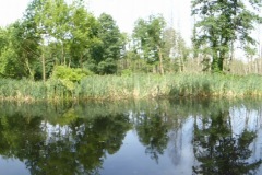 P1050916