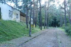 P1060318
