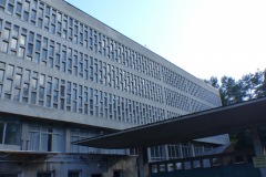 P1060331