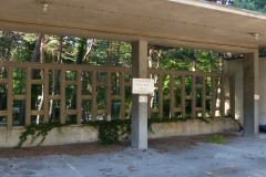 P1060333
