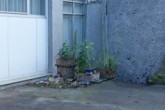 P1060364