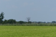 P1060046