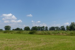 P1060047