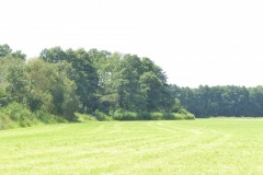P1060057