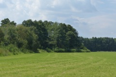 P1060058