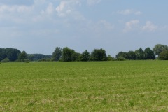 P1060059
