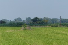 P1060060