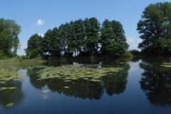 P1060077
