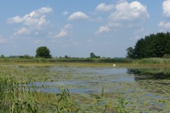 P1060078