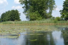 P1060080
