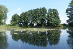 P1060081