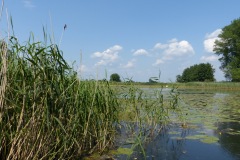 P1060082
