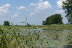P1060083
