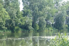 P1060084