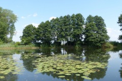 P1060087