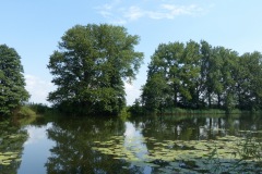 P1060088