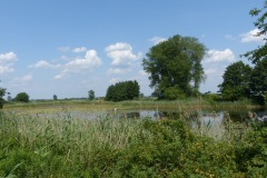 P1060094